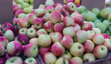 Apfelsorten auf dem Markt