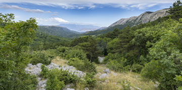 Gebirgstal, Insel Krk, Umgebung von Baska, Kroatien