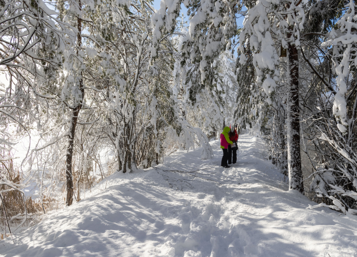 Schneefall auf dem Weg. Zwei Gestalten in winterlicher Aura.