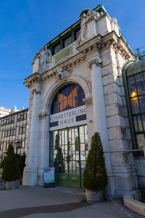 Schmetterlingshaus in Wien