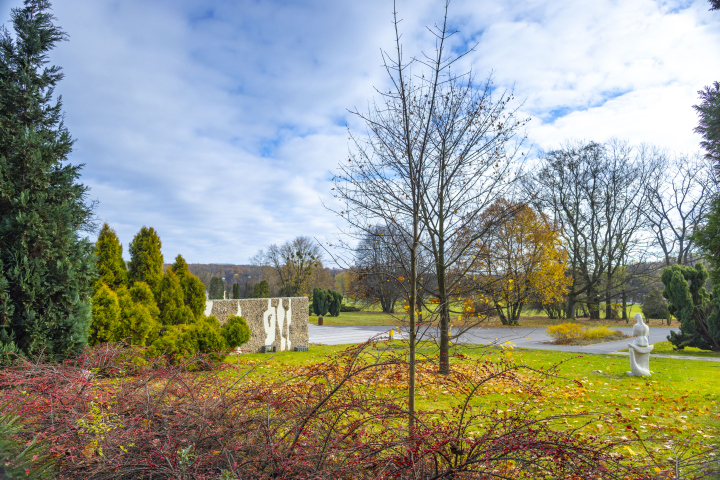 Schlesischer Park im November