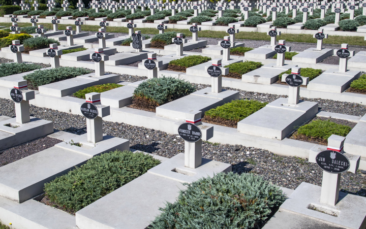 Kreuze auf dem Friedhof der Lemberger Adler