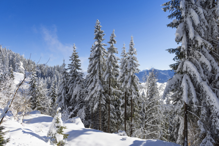 Winterlandschaft in den Bergen