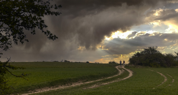 Abendspaziergang entlang des Weges