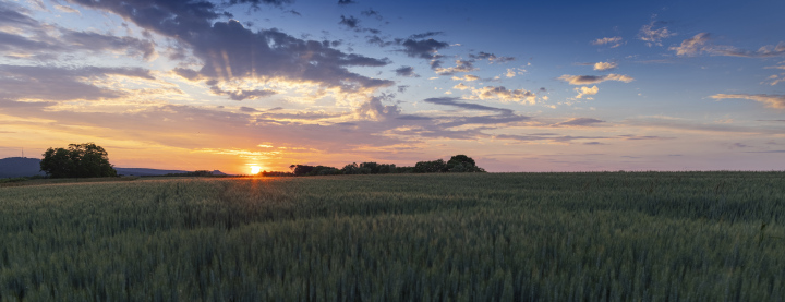 Sonnenuntergang über dem Ackerland