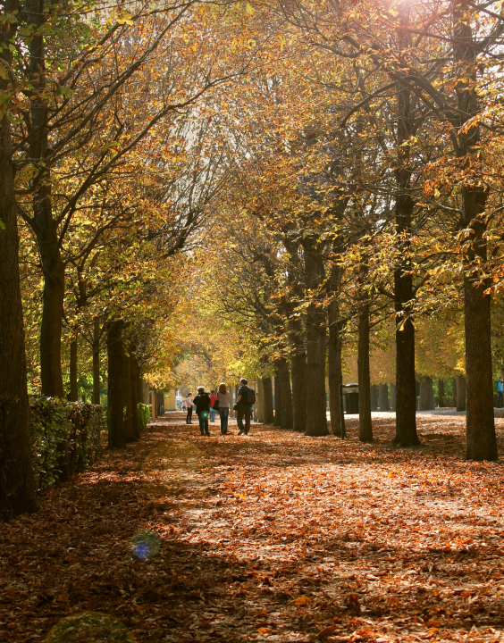 Herbstspaziergang im Park