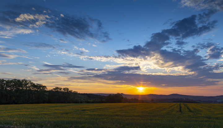 Sonnenuntergang über den Feldern