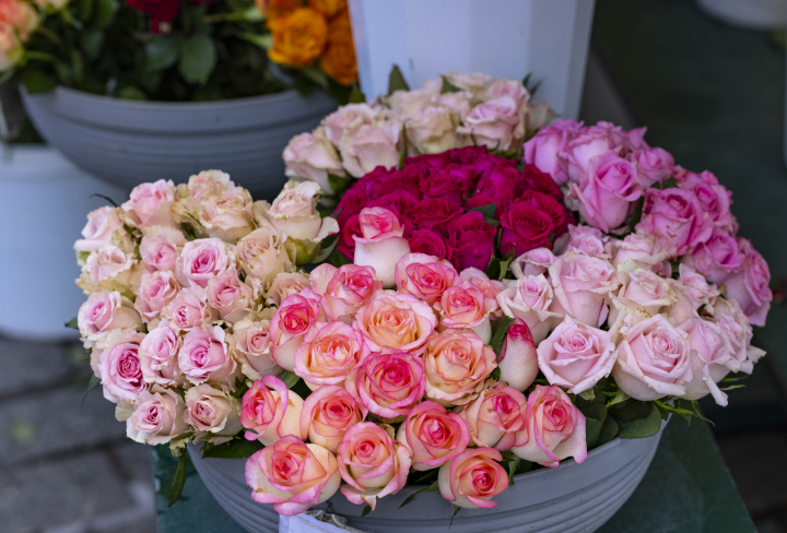 Blumen zu verkaufen, Rosen