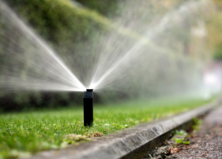 Sprinkler auf dem Rasen