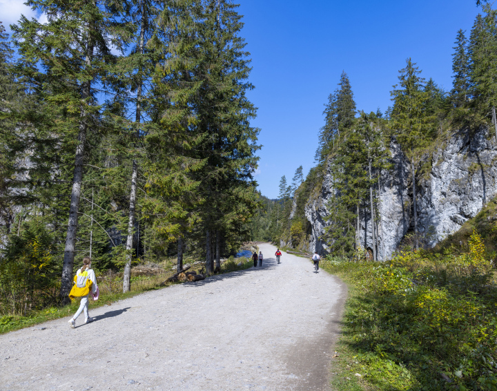 Wanderweg im Chochołowska-Tal