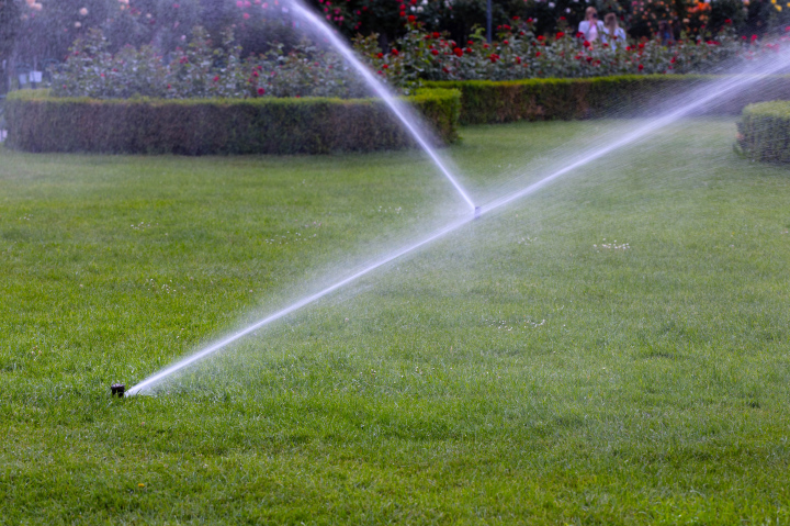 Sprinkler auf dem Rasen im Park.