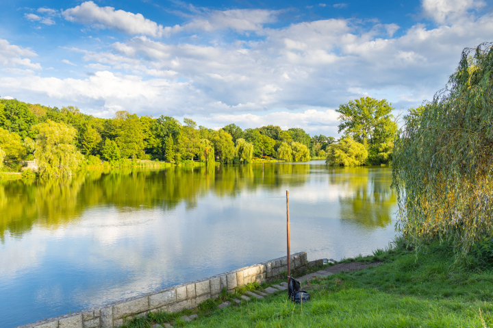 Ein Teich im Schlesischen Park