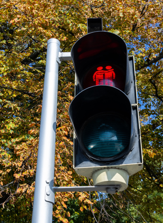 Rotes Licht auf einem Zebrastreifen, Paar