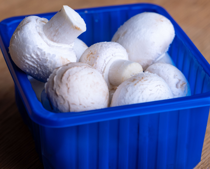 Weiße Pilze in einem Plastikbehälter Kostenloses Bild