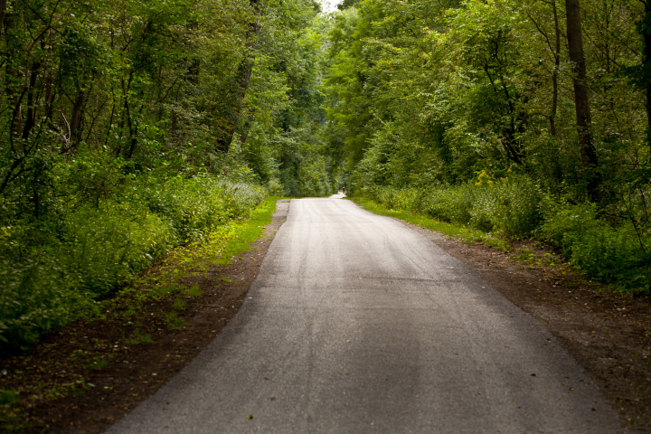 Straße durch den Wald