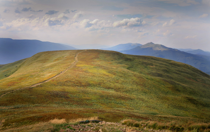 Umgebung von Połonina Wietlińska
