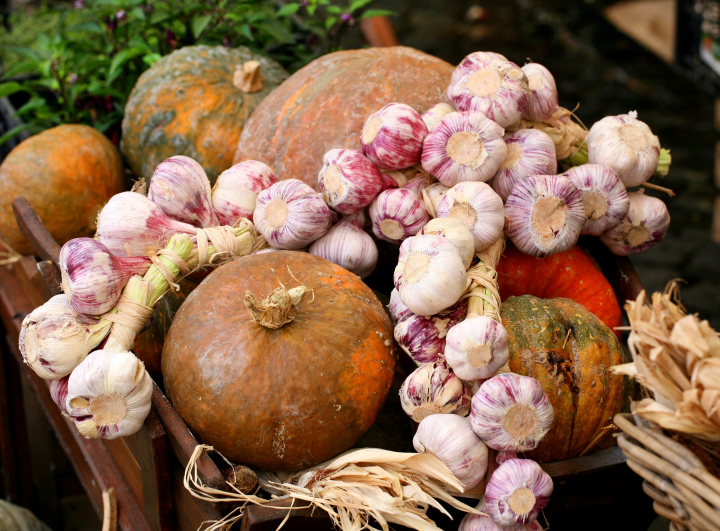 Knoblauch und Kürbisse auf einem Marktstand