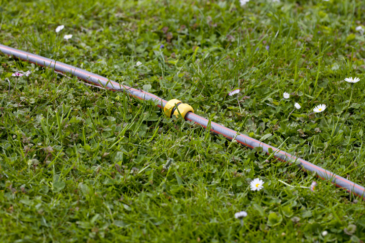 Gartenschlauch auf dem Rasen