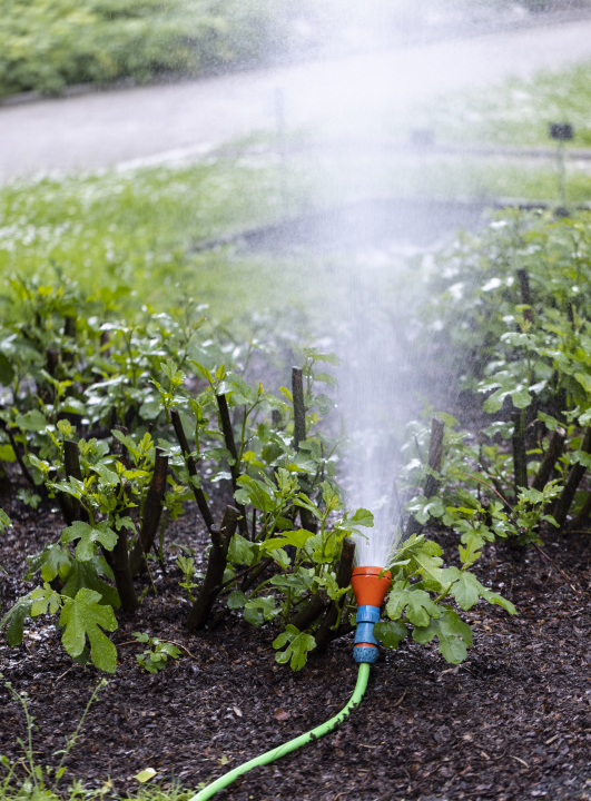 Gartenbewässerung, Bewässerungsschlauch