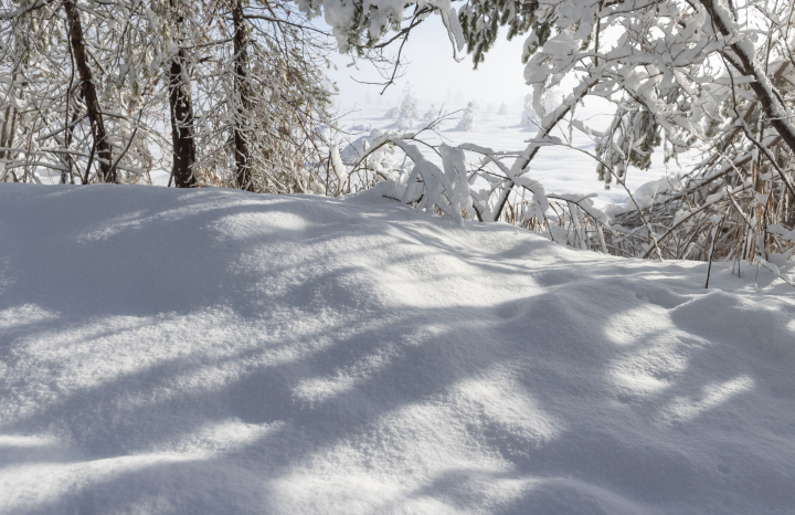 Januar Schneefall, Winter