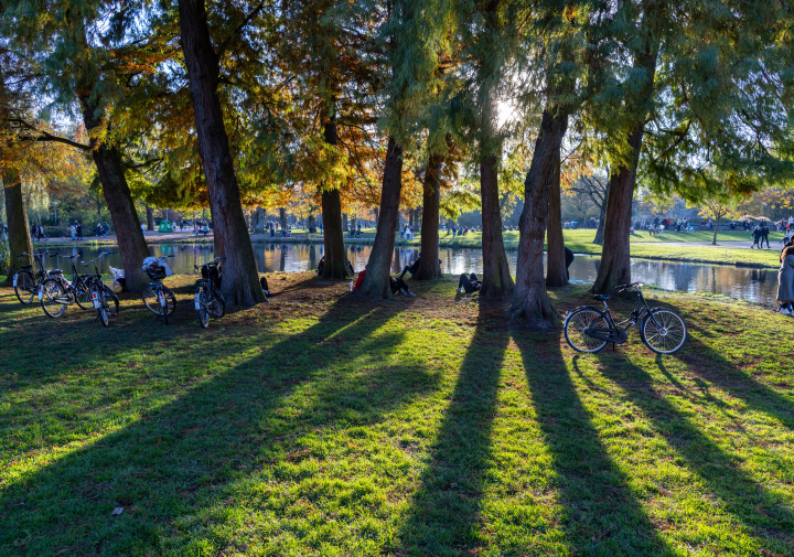 Erholung im Vondelpark. Amsterdam stockfoto.