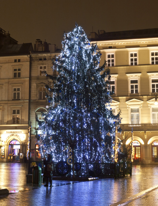 Weihnachtsbaum auf dem Markt