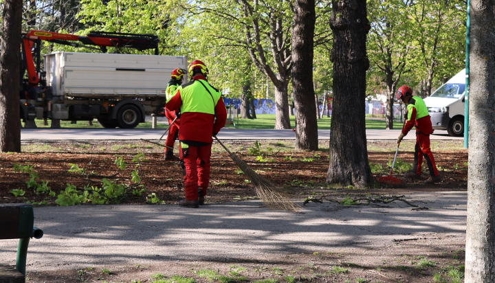 Serviceteam im Park, Bäume fällen, Äste putzen