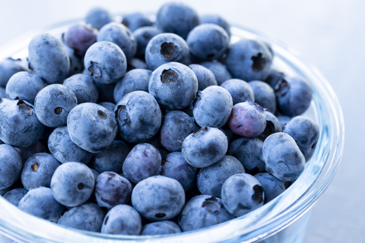 Blaubeere in einer Glasschale, freies Bild