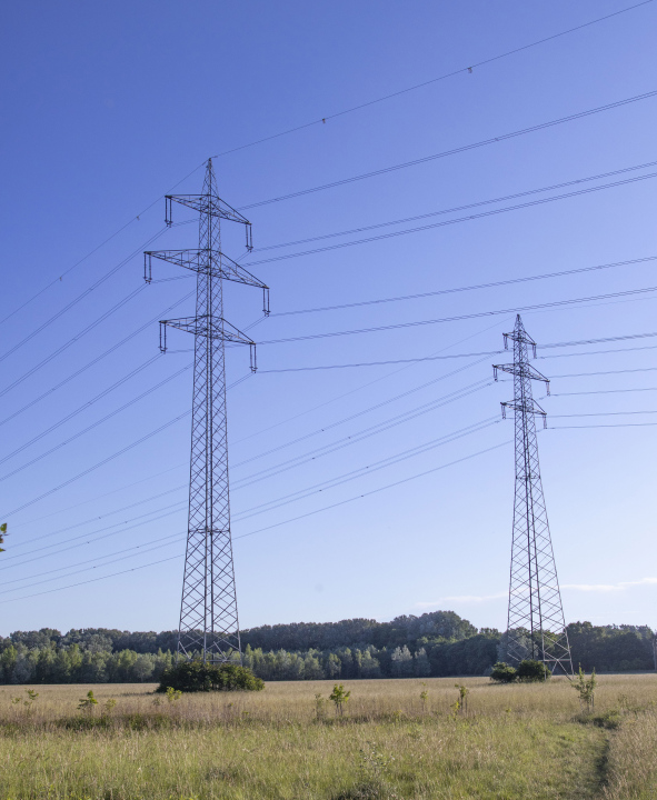 Hochspannungsmasten auf der Wiese