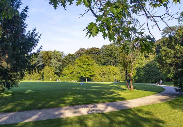 Sonniger Tag im Park