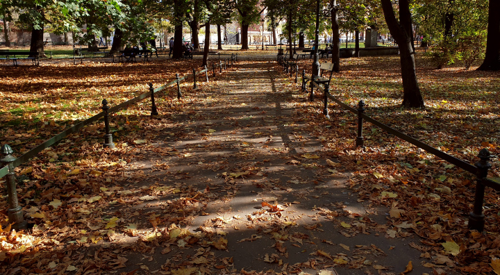 Herbst im Park