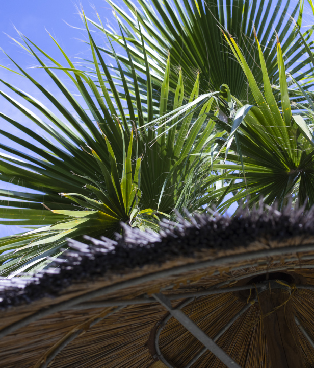 Urlaub in den Tropen