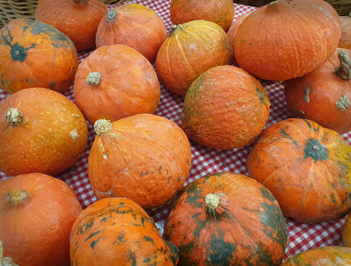 Orange Kürbisse