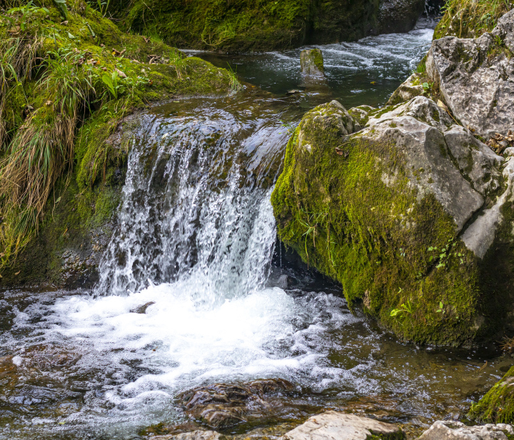 Wasser in einem kleinen Bach