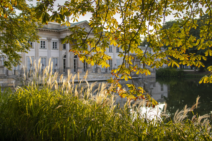 Palast im Königlichen azienki-Park in Warschau