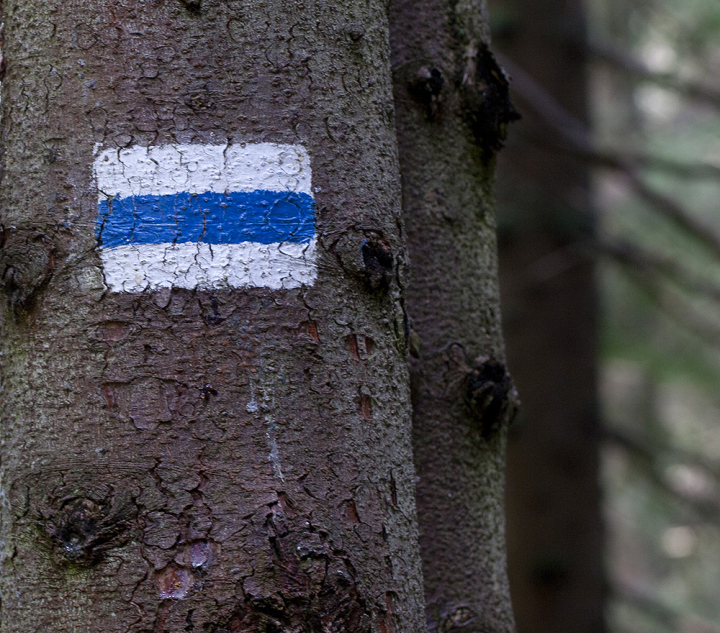 Blaue Spur auf der Route