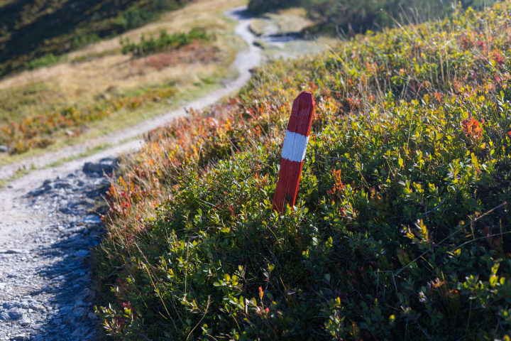 Weg auf dem Bergweg