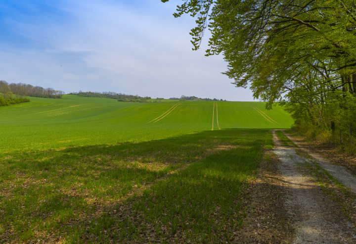 Ackerland und eine unbefestigte Straße