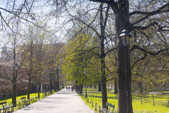 Frühling in Planty in Krakau