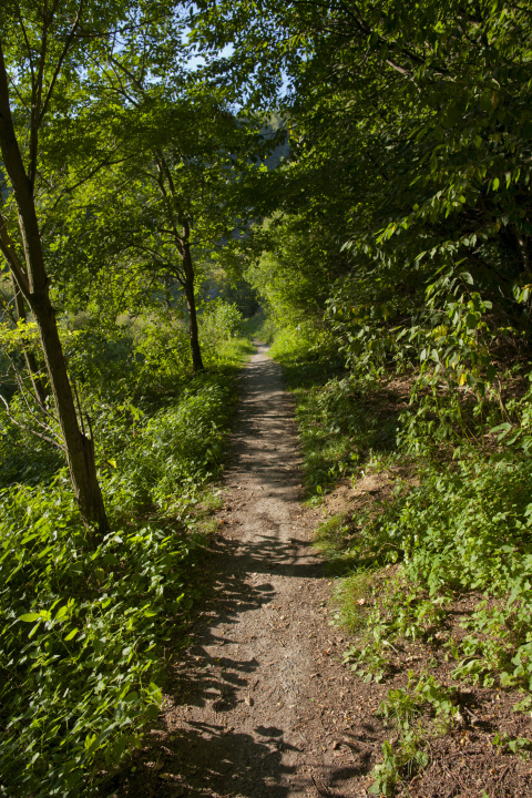 Der Weg in Zubolach