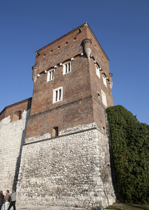 Der Diebsturm in Wawel