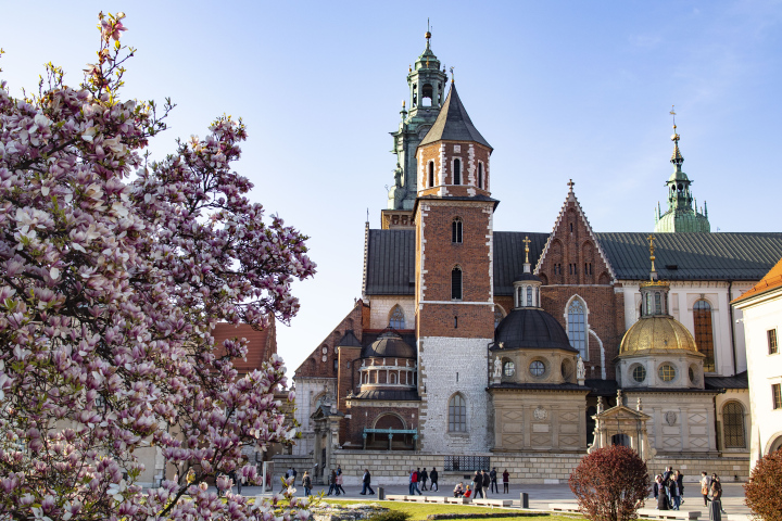 Wawel im Frühlingsgewand