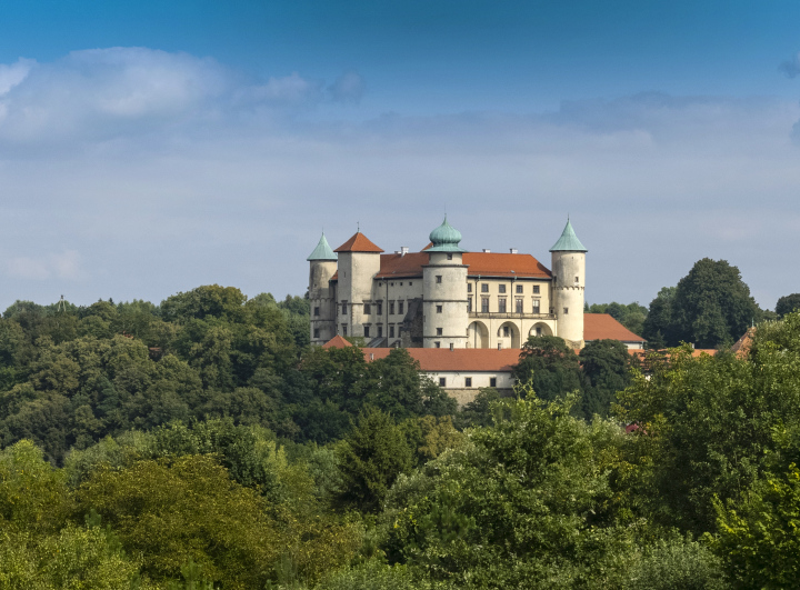 Schloss in Nowy Wiśnicz