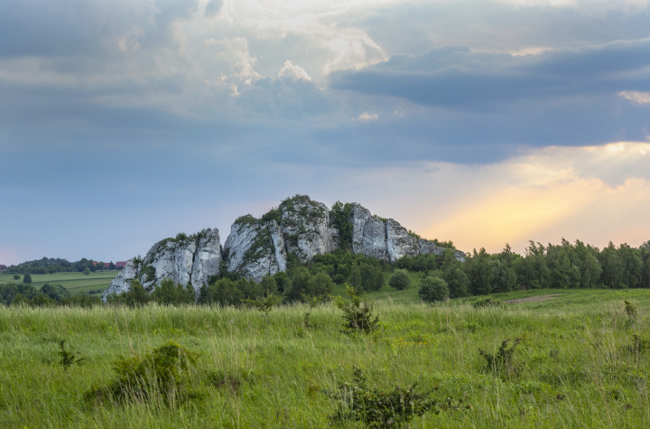 Felsen im Hochland von Krakau-Częstochowa