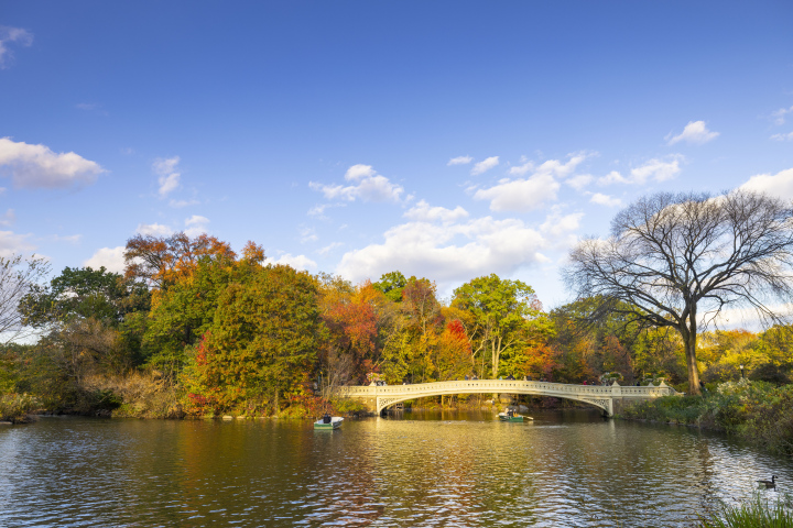Brücke über den Teich im Central Park, New York