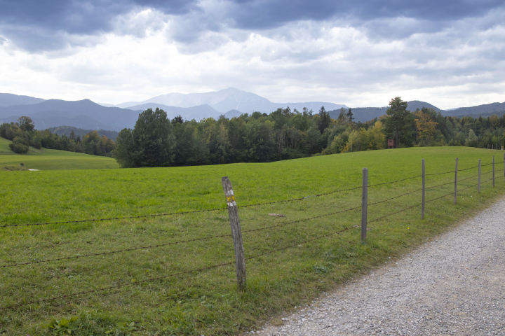 Wiesen, Weiden in den Ausläufern