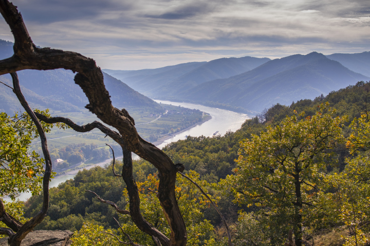 Wachau-Tal