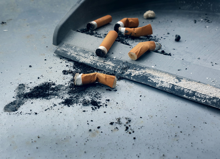 Gesammelte Zigarettenkippen