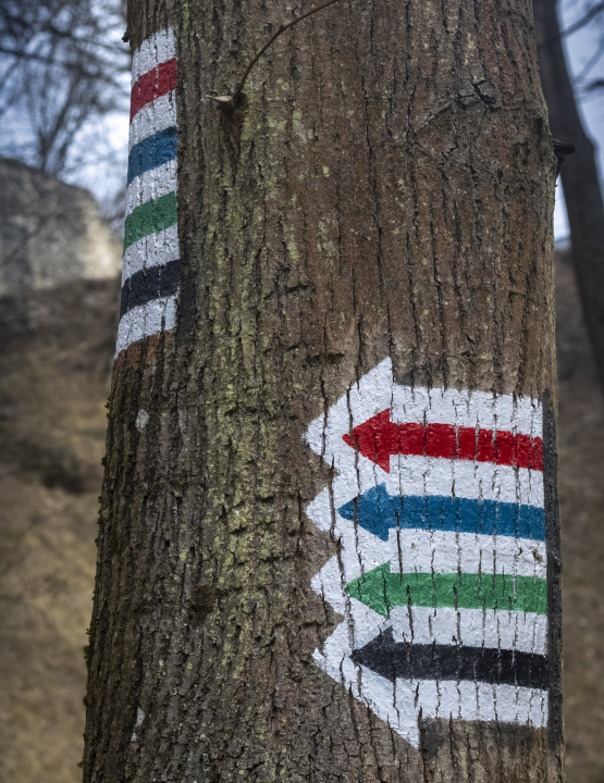 Touristische Routen, Farben am Baum