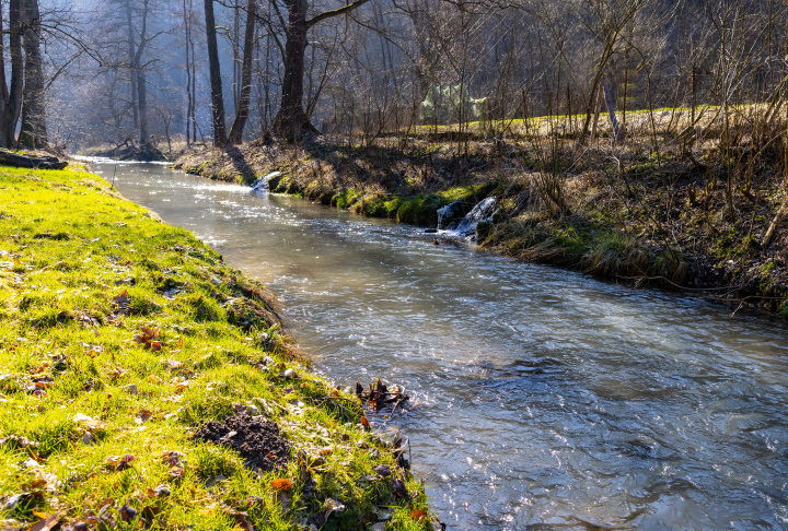 Fluss Prądnik im Nationalpark Ojców